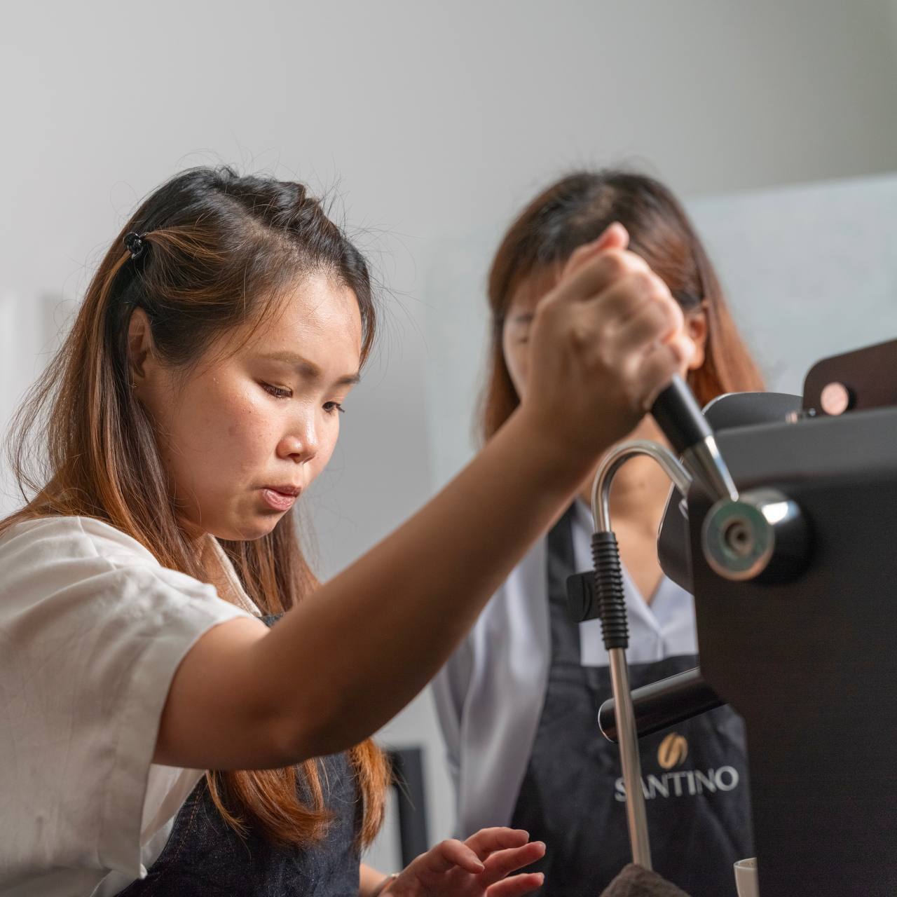 Santino Barista Foundation (8hours)